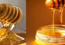 The Sweet Nectar of Health: Unveiling the Food and Health Benefits of Honey.