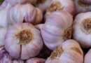 How Garlic Price Hikes Impact Your Grocery Budget