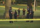 Mass Shooting in New York Park Leaves 1Dead, 6 Injured