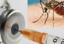 Serum Institute launches groundbreaking malaria vaccine in Africa, approved by WHO. Affordable, effective, and produced on a large scale to combat malaria.