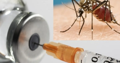 Serum Institute launches groundbreaking malaria vaccine in Africa, approved by WHO. Affordable, effective, and produced on a large scale to combat malaria.