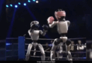 World’s First Humanoid Robot Boxing Match Held in China: A New Era of Tech-Driven Sports