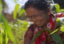 Pioneer Marks 100 Years of Agricultural Innovation, Delivering for Farmers Worldwide and in India