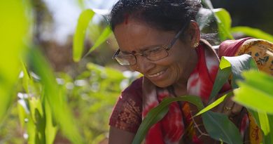 Pioneer Marks 100 Years of Agricultural Innovation, Delivering for Farmers Worldwide and in India Pioneer Marks 100 Years of Agricultural Innovation, Delivering for Farmers Worldwide and in India