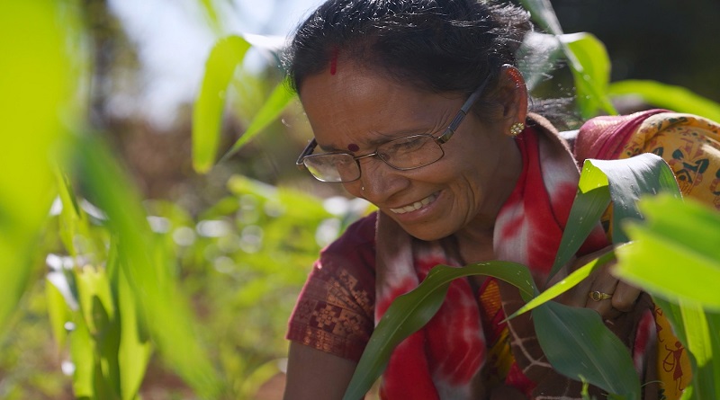 Pioneer Marks 100 Years of Agricultural Innovation, Delivering for Farmers Worldwide and in India Pioneer Marks 100 Years of Agricultural Innovation, Delivering for Farmers Worldwide and in India